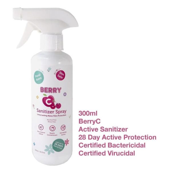 BERRY C DISINFECTANT RANGE - Image 4